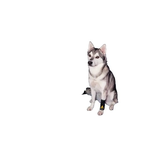 Other - Agon® Dog Front Leg Brace Paw Compression Wraps [DS002Y]